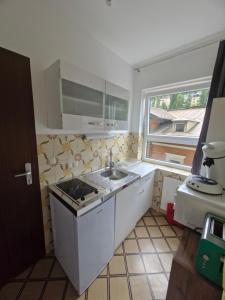 Kuchyň nebo kuchyňský kout v ubytování Atelier Greyer