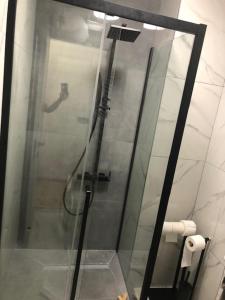 a shower with a glass door in a bathroom at Apartments and Rooms "Almira" in Pula +46 photos