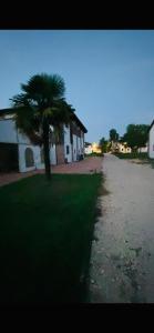 a palm tree in the middle of a street at Agriturismo La Bisa in Trecenta