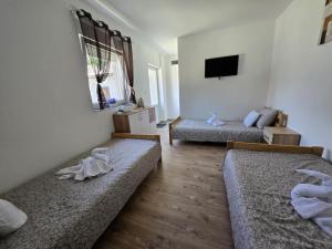 a living room with two beds and a television at Zolax Apartmans in Mali Iđoš