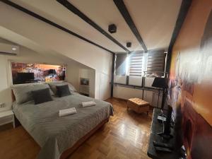 TV a/nebo společenská místnost v ubytování MM Apartman