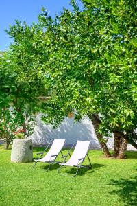 Vườn quanh Garden apartments Ischia super centrale