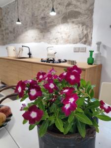 Kuchyň nebo kuchyňský kout v ubytování Casa Don Michele + 22 fotografií