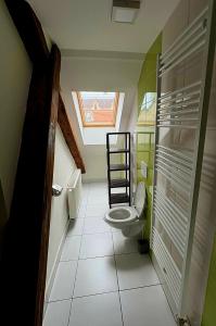 a bathroom with a toilet and a skylight at JÓKAI Apartman in Komárno +30 photos