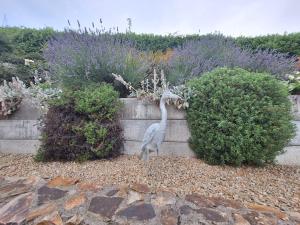 a statue of a bird standing in front of bushes at Tullydish in Kilmacanoge