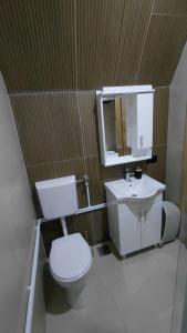 a bathroom with a toilet and a sink and a mirror at Zelena dolina Zminica in Zminica