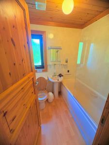 a bathroom with a toilet and a sink and a shower at Luxury Woodland Lodge near Clovelly & Bude in Woolfardisworthy +29 photos
