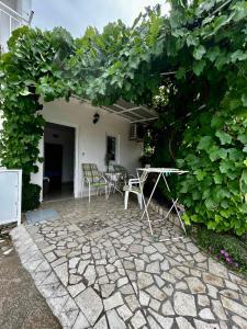 Zahrada ubytování Guest House Pamela
