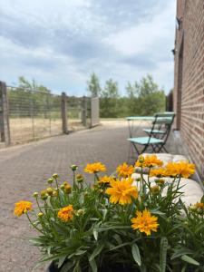 Gallery image of Bed en Natuur Puur in Herselt