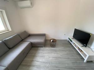 TV a/nebo společenská místnost v ubytování Apartment MiA with WIFi and private garden