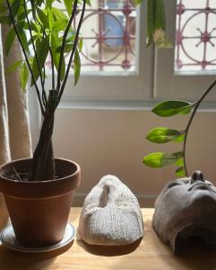 ein Holztisch mit einer Pflanze und einem Topf darauf in der Unterkunft Appartement Romantique à Saint-Ouen in Saint-Ouen