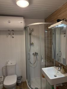 a bathroom with a shower and a toilet and a sink at Studio Crnjanski in Jagodina