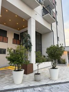 a building with three potted trees in front of it at Studio Crnjanski in Jagodina