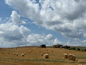 Φωτογραφία από το άλμπουμ του Casa delle More στη Σιένα