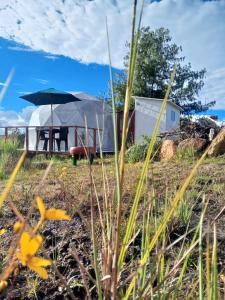 Zahrada ubytování Hospedaje Mafer