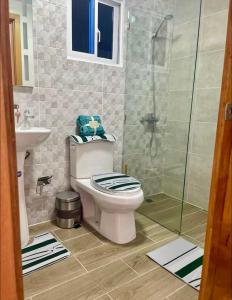 a bathroom with a toilet and a glass shower at Karamelo Tropical Getaway in Santiago de los Caballeros