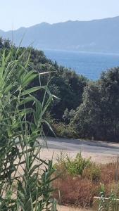 Φυσικό τοπίο κοντά σε αυτό το διαμέρισμα