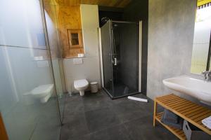 a bathroom with a shower and a toilet and a sink at Ferienhaus Alpin, Apartment 1 in Neustift im Stubaital