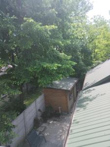 a backyard with a shed and a fence at Apartament rodzinny SAKURA in Jędrzejów +7 photos