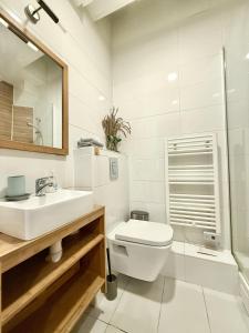 a bathroom with a toilet and a sink and a shower at 80 m2-Heart of Le Marais -Sleeps 6 in Paris