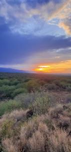 Gallery image of Oldonyo Musa Amboseli Campsite in Rift Valley