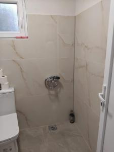 a bathroom with a shower with a toilet at Apartments Maki 1 in Tivat