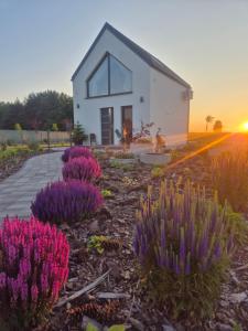 BorkiSTODÓŁKA 11k的一座白色的小房子,前面有紫色的鲜花