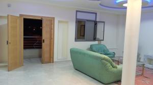 Ammaedara的客厅配有绿色沙发和两把椅子