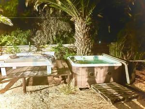 Gallery image of Hotel Boutique Valle la ligua casa de campo in El Cerrillo +7 photos