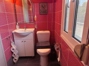 a red tiled bathroom with a toilet and a sink at ARTE MARE d'Irene in Spárton +95 photos