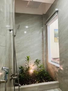 a bathroom with a shower with a plant at AHK Homestay 1 in Phu Quoc