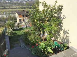 Gallery image of 1-bedroom apartment in Losone