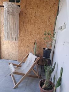 a rocking chair in a room with cactus at peace&love in Eilat