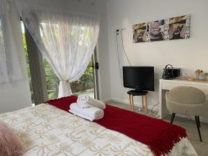 صورة لـ Cannonvale Homestay في كانونفال