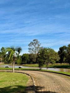 eine unbefestigte Straße mit einer Palme neben einem Fluss in der Unterkunft Chácara Cidade da Divina Misericórdia in Araucária