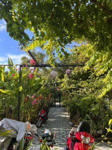 een groep motorfietsen geparkeerd op een pad met planten bij Laoxao Homestay in Hội An