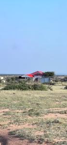 Peisaj natural din apropierea acestei pensiuni agroturistice +8 fotografii