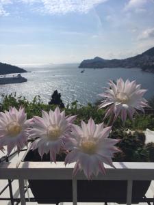 un grupo de flores rosas sentadas en una mesa cerca del agua en Apartment and room Sveti Jakov en Dubrovnik