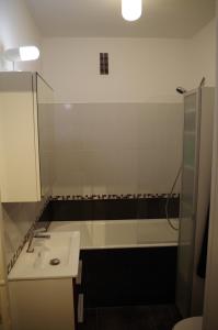 uma casa de banho com um lavatório branco e um chuveiro em Studio La Reine Astrid em Antibes