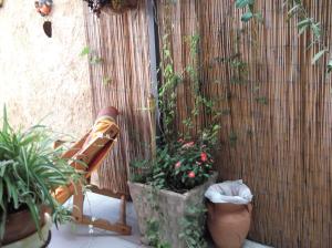 
a garden scene with plants and a fence at B&B La Casa Di El in Agrigento
