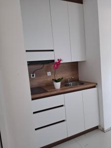 Kuchyň nebo kuchyňský kout v ubytování Vila stockholm