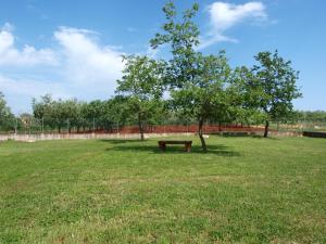 a park with a bench and a tree in a field at Holiday Home Rosa in Gedići +5 photos