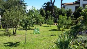 Ogród w obiekcie Casetta Ariafina