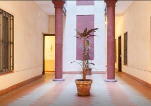 Fotografie z fotogalerie ubytování Apartamento Centro Histórico Sevilla v destinaci Seville