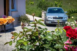 Vonkajšia záhrada v ubytovaní Guest House Davor Tomas