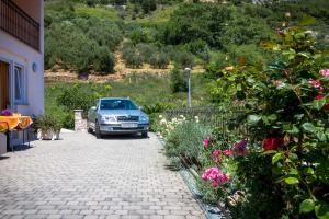 Vonkajšia záhrada v ubytovaní Guest House Davor Tomas
