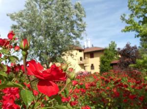 A garden outside Hotel Fondo Catena