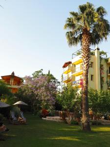 a palm tree sitting in a yard next to a building at Emel Pension in Guzelcamlı