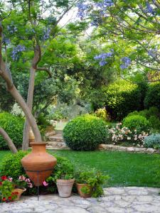 Fotografie z fotogalerie ubytování Emel Pension v destinaci Güzelçamlı + 37 fotografií