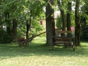 A garden outside Hotel Fondo Catena